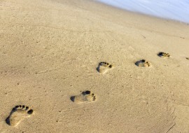 footprints